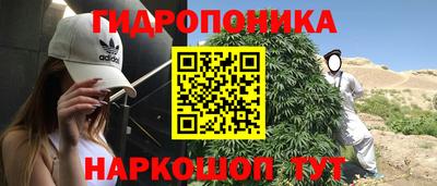гидра Сланцы