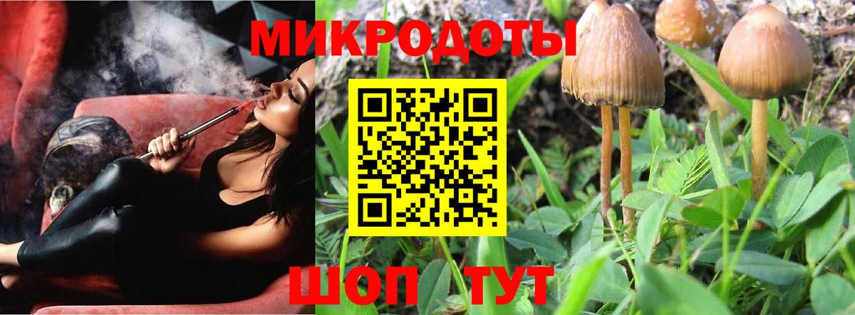 Псилоцибиновые грибы Magic Shrooms Мурманск