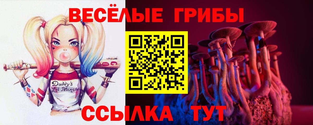 Псилоцибиновые грибы Psilocybine cubensis  Вход с VPN  Мурманск 
